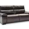 premium 742
